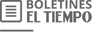 Logo Boletin